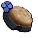 Weevil Jerky